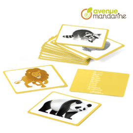 Avenue Mandarine JE528C Állatos nyelv oktató kártya