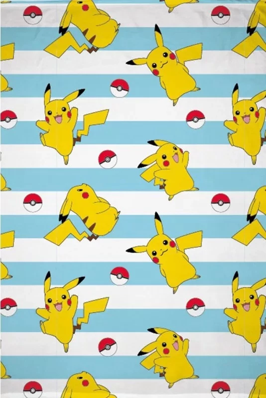 Pokémon polár takaró